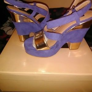 Brand new platforms never Been Warren